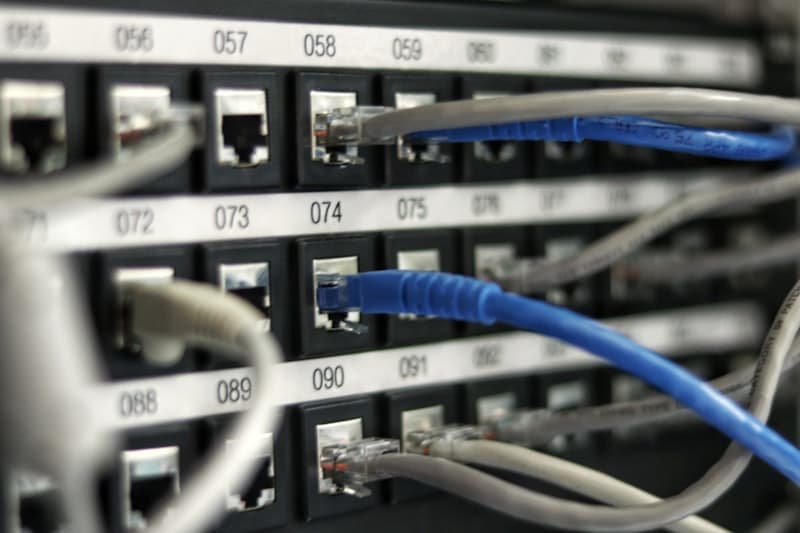 backup-management